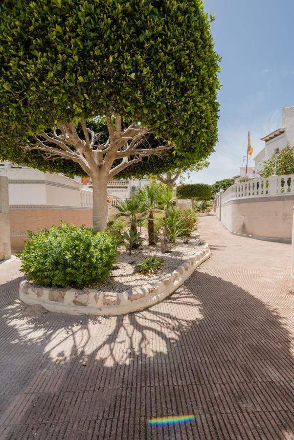 Apartament "Parque Mar" Ла Мата Екстериор снимка